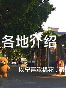 各地特色美食介绍