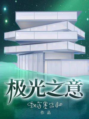 极光之北全部作品