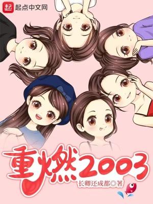 重燃2003免费完整版