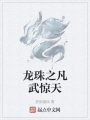 龙珠之武天宗师笔趣阁