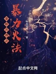 全职法师免费阅读全文