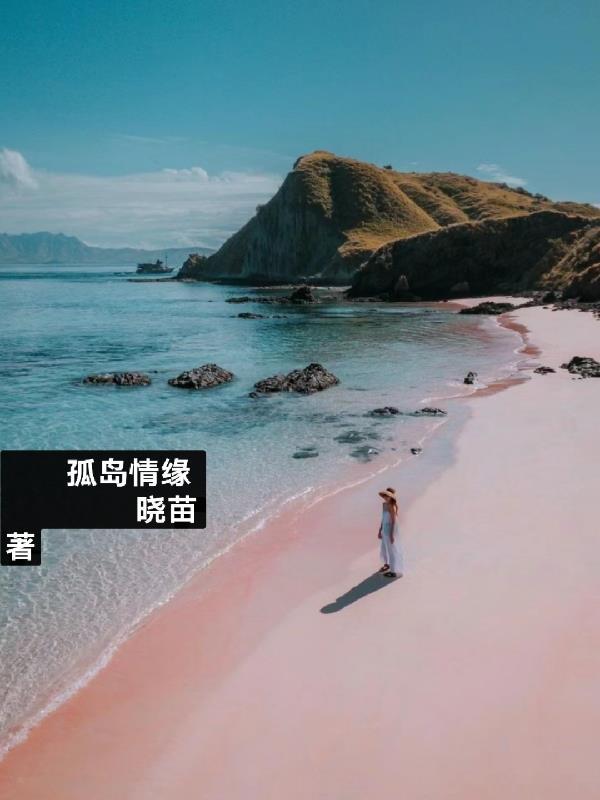 电影孤岛奇缘剧情