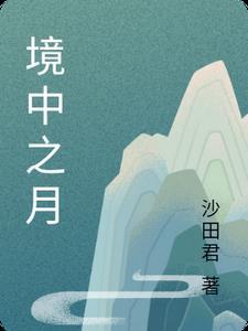 境中是什么意思