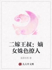 2嫁王妃