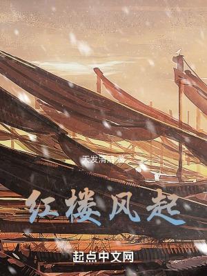红楼戏凤
