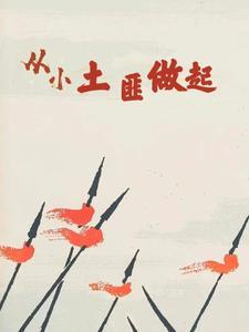 以土匪为主角的