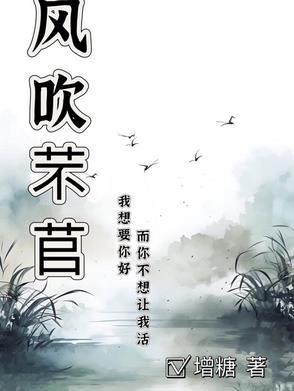 风吹了什么