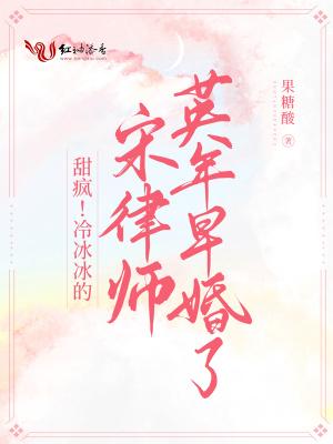 宋律师的心尖宠凡一