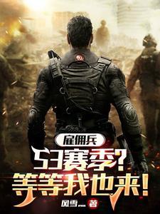 你说你是雇佣兵是啥意思