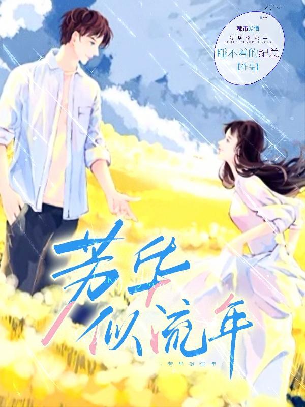 芳华似流年寓意及解释