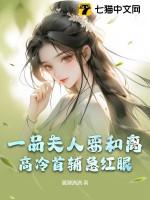 一品夫人啥意思