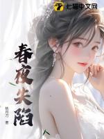 春夜失火歌词